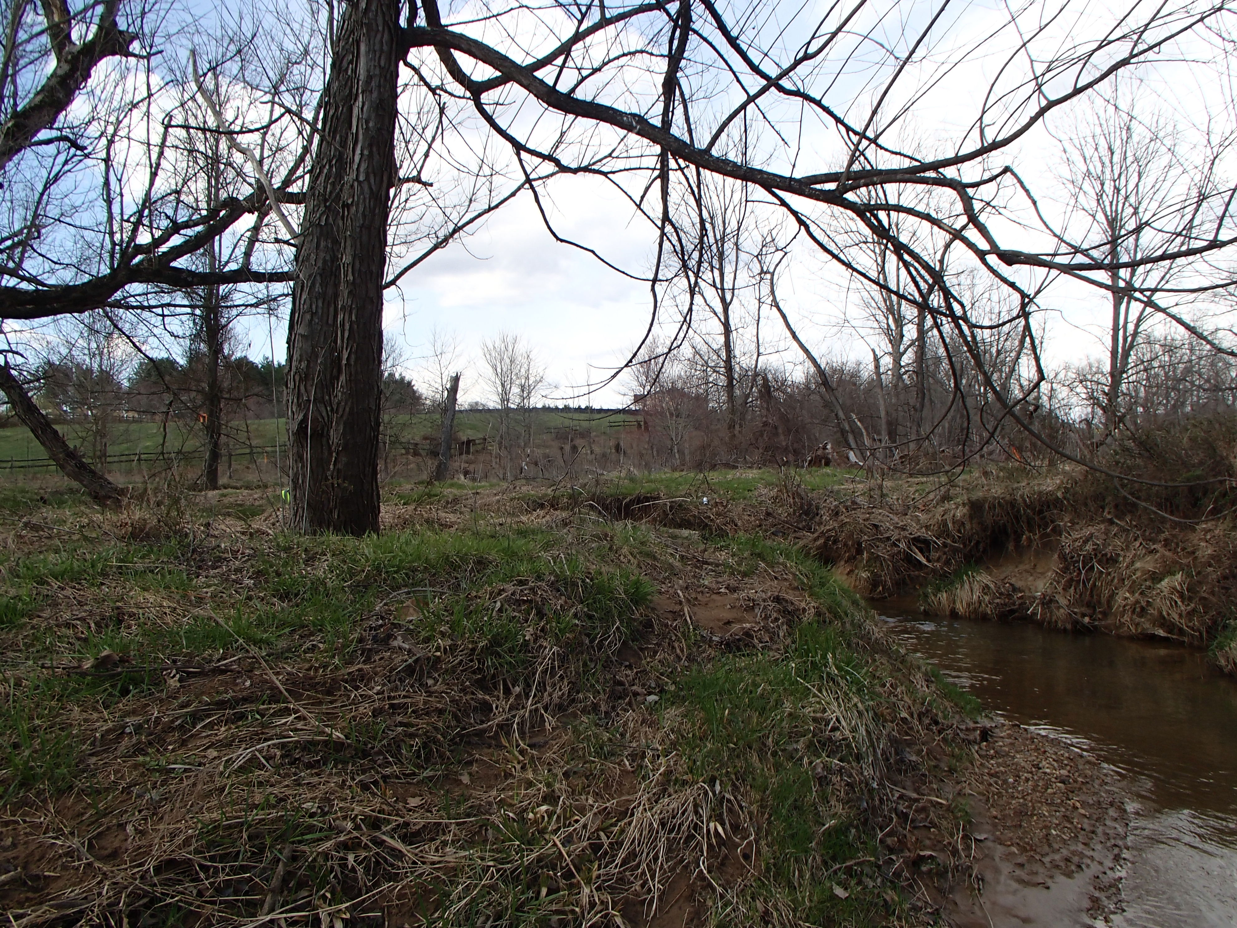 Field photo showing stream conditions at site PRMO-203-X-2016_Midpoint facing upstream